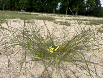 Similar image 22072068