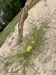 Similar image 22072070