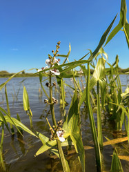 Similar image 22072210