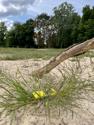 Similar image 22072211