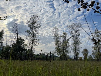 Similar image 22072212