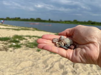 Similar image 22072215