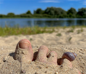 Similar image 22072329