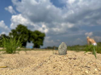 Similar image 22072332