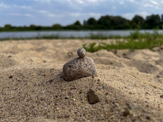 Similar image 22072337