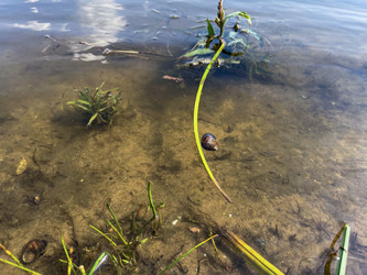 Similar image 22072338