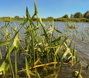 Similar image 22072343