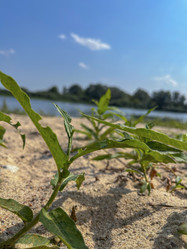 Similar image 22072351