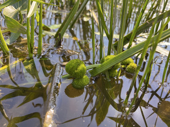 Similar image 22072354