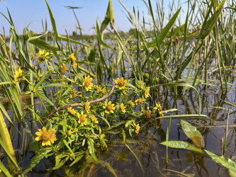 Similar image 22072355