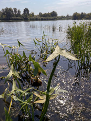 Similar image 22072358