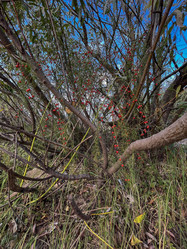 Similar image 22072562