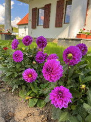 Similar image 22072565