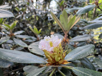 Similar image 22072567