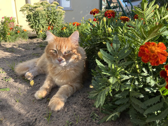 Similar image 22072569