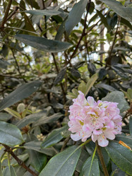 Similar image 22072570