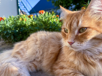 Similar image 22072571