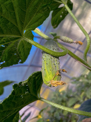 Similar image 22072573