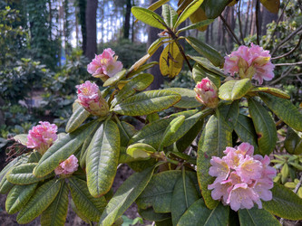 Similar image 22072574