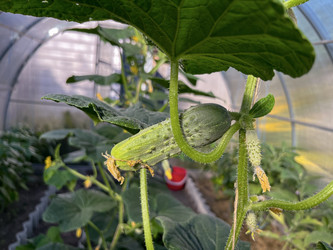 Similar image 22072575