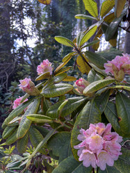 Similar image 22072576