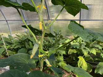 Similar image 22072579