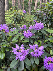 Similar image 22072580