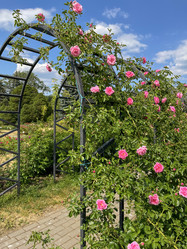 Similar image 22072584