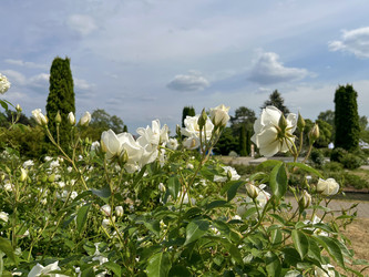 Similar image 22072586