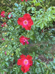 Similar image 22072588