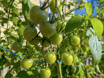 Similar image 22072589