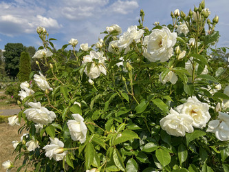 Similar image 22072592