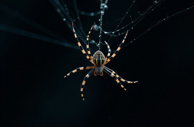 Similar image 22077513