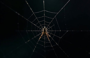 Similar image 22077514