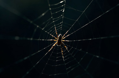 Similar image 22077515