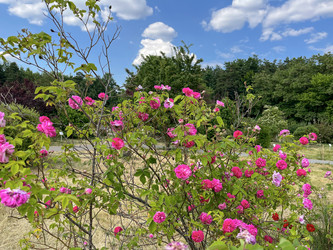 Similar image 22072594