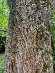 Similar image 22072595