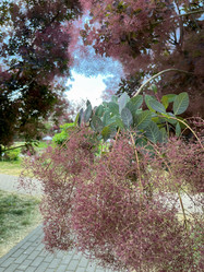 Similar image 22072596