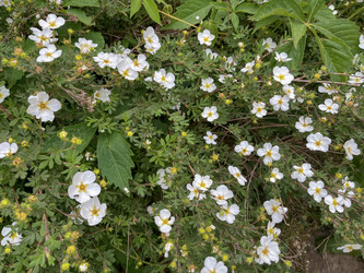 Similar image 22072597