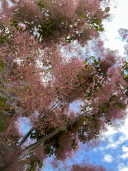 Similar image 22072598