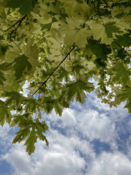 Similar image 22072599