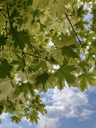 Similar image 22072601