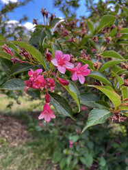 Similar image 22072603