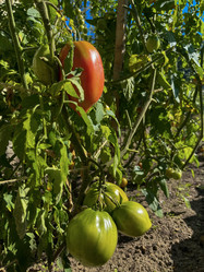 Similar image 22072608