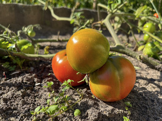 Similar image 22072611