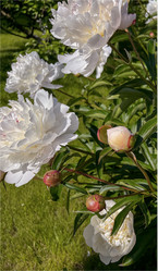 Similar image 22072612