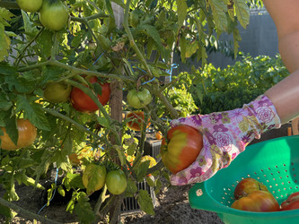 Similar image 22072614