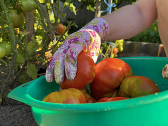 Similar image 22072615