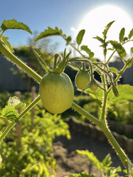 Similar image 22072617