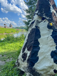 Similar image 22072618